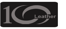 logo-dermatina100